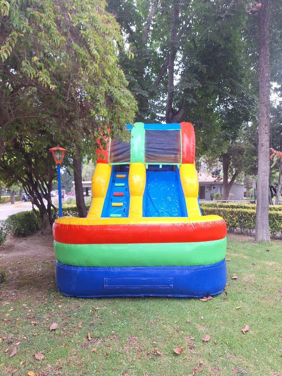 Acuático Multicolor - Imagen 2