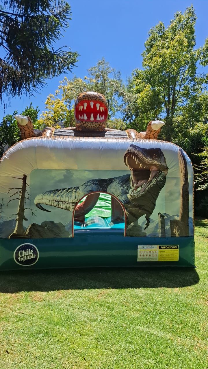 Tobogán T-Rex 5×3 - Imagen 2