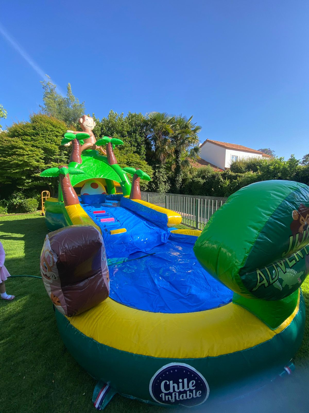 Acuático Jungla - Imagen 2